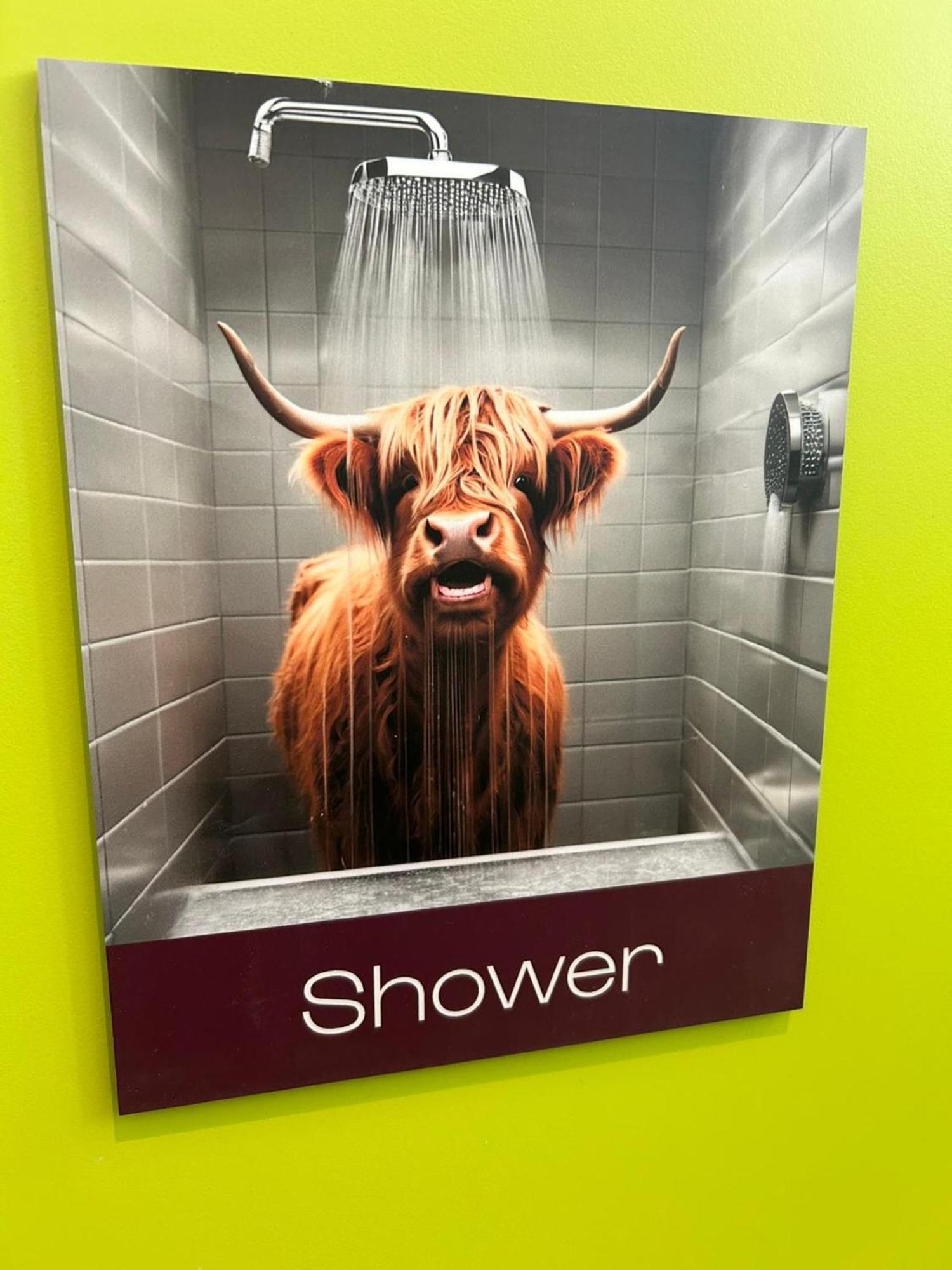 Safestay Edinburgh Cowgate Екстер'єр фото
